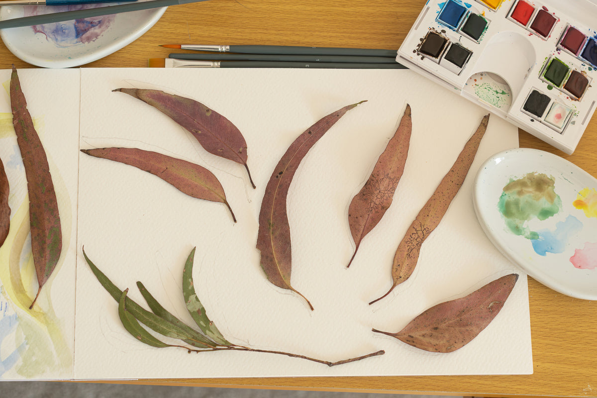 Introduction to Watercolours Workshop - Paint Autumnal Leaves